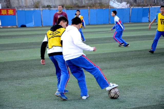 世南美预前瞻:阿根廷一枝独秀 黑马之势难延续